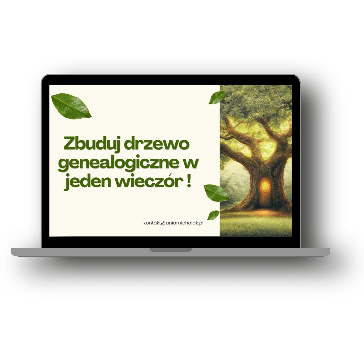 lekcja drzewo lekcja
